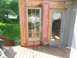 Wood Rot 1